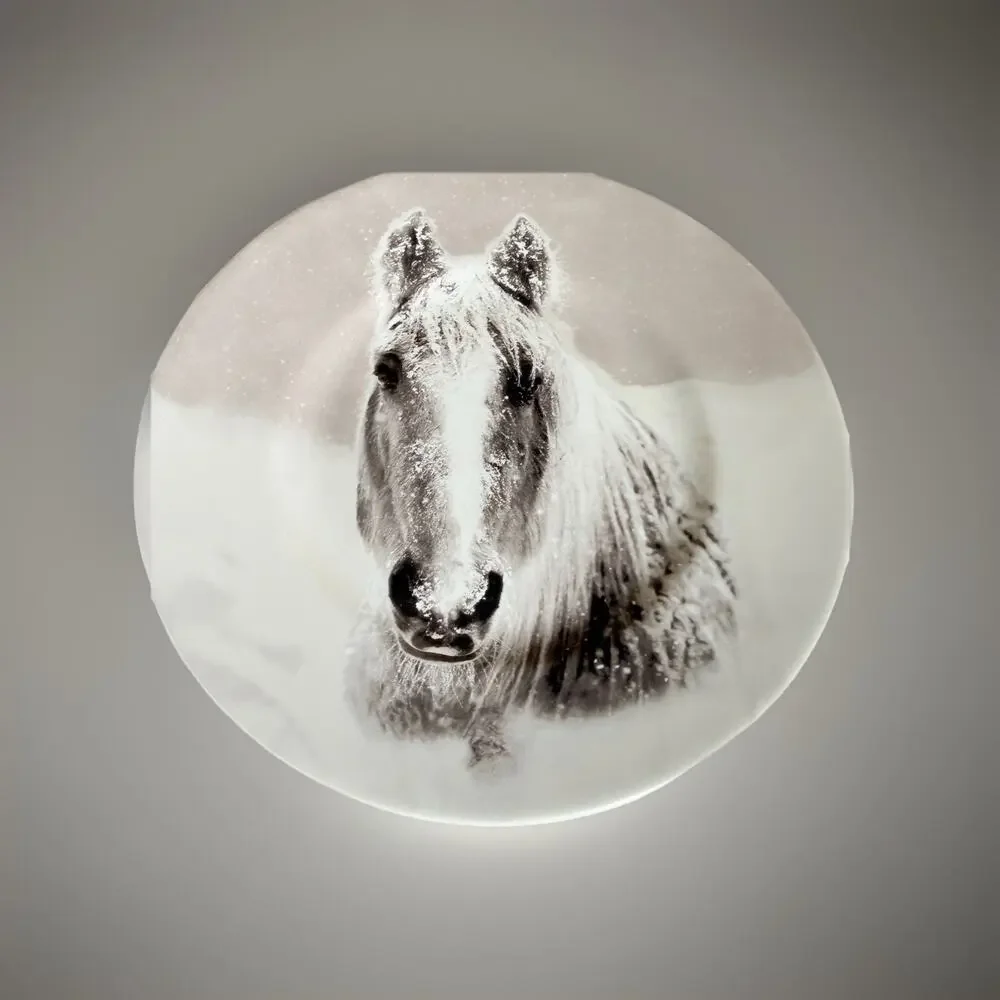 Pier 1 Snow Forest Accent Salad Dessert Plate 8.5/8” Equestrian Set Of 4